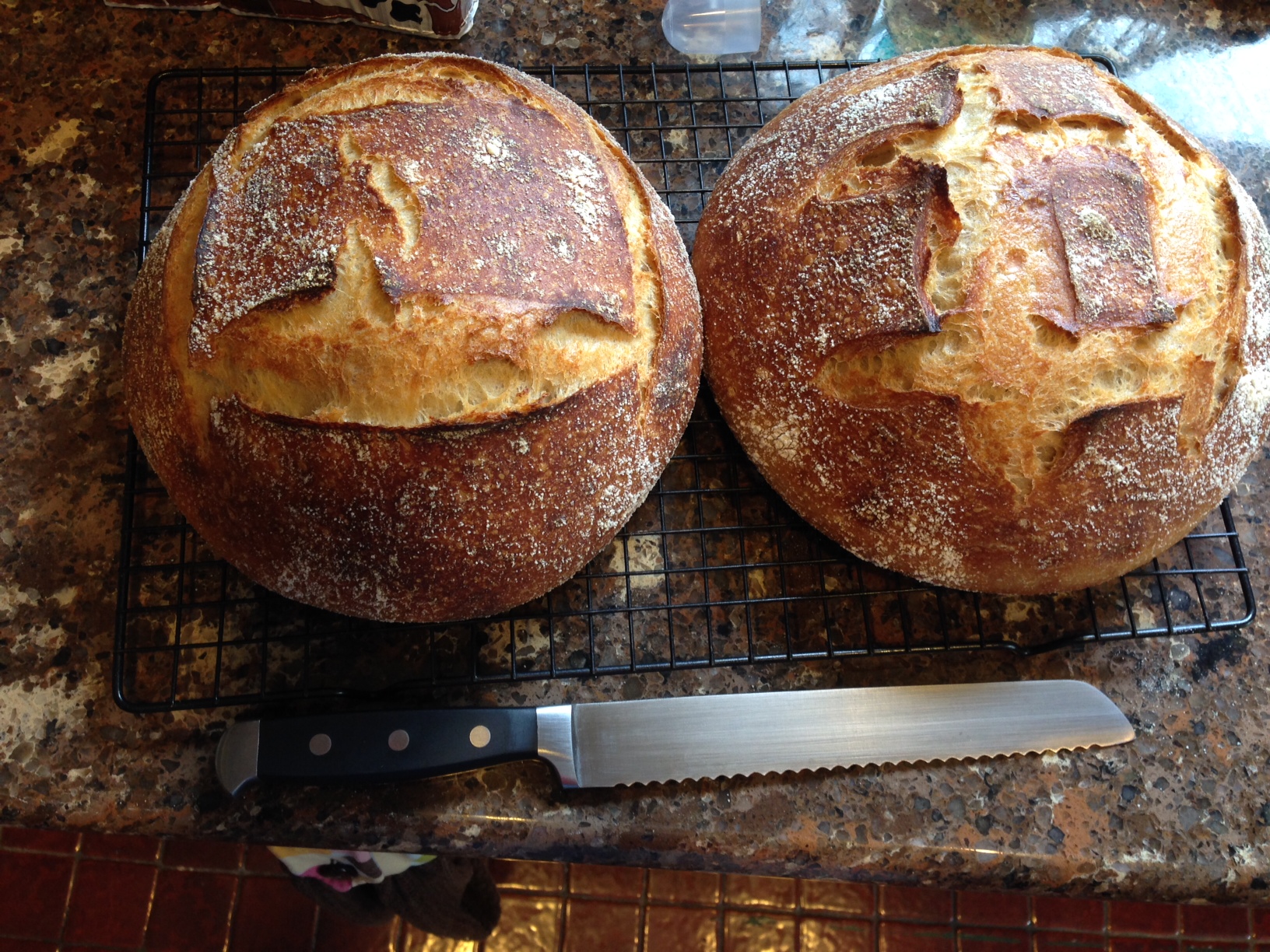 Tartine Overnight Bulk Fermentation The Fresh Loaf